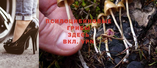 спайс Вяземский
